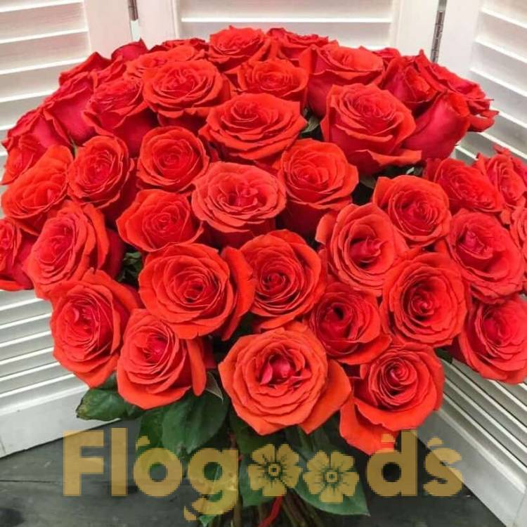51 красная роза за 19 587 руб.